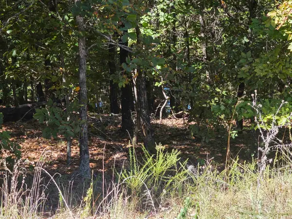 L-78, B-2 San Juan Trail, Cherokee Village, AR 72529