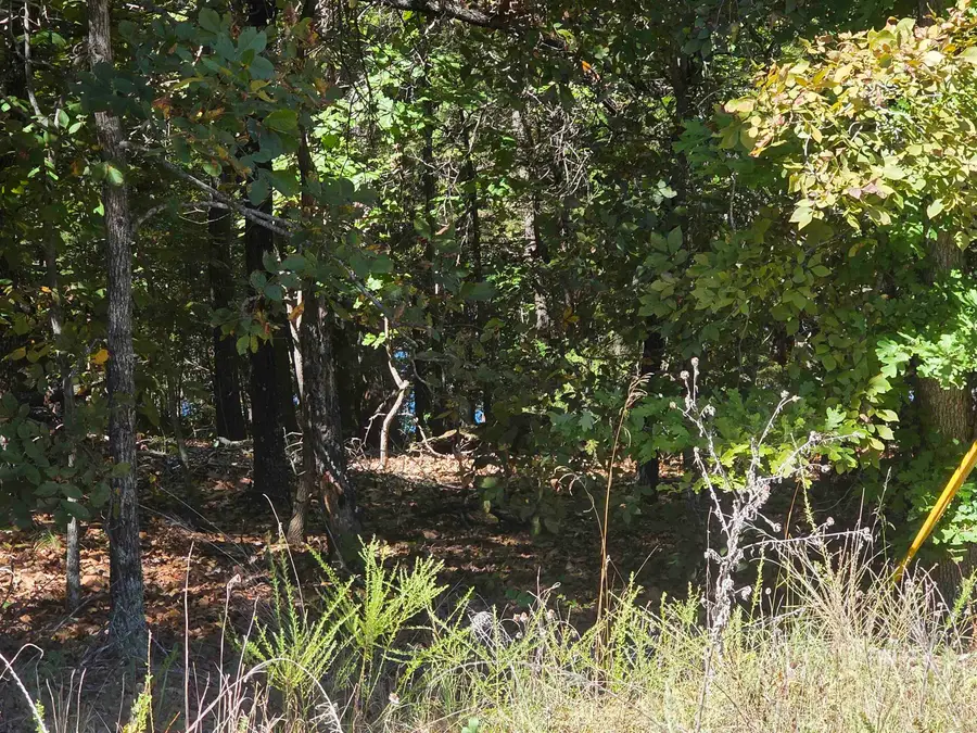 L-78, B-2 San Juan Trail, Cherokee Village, AR 72529 - #2