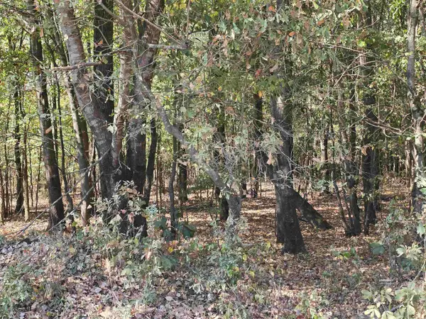 TBD Tucker Road, Searcy, AR 72143