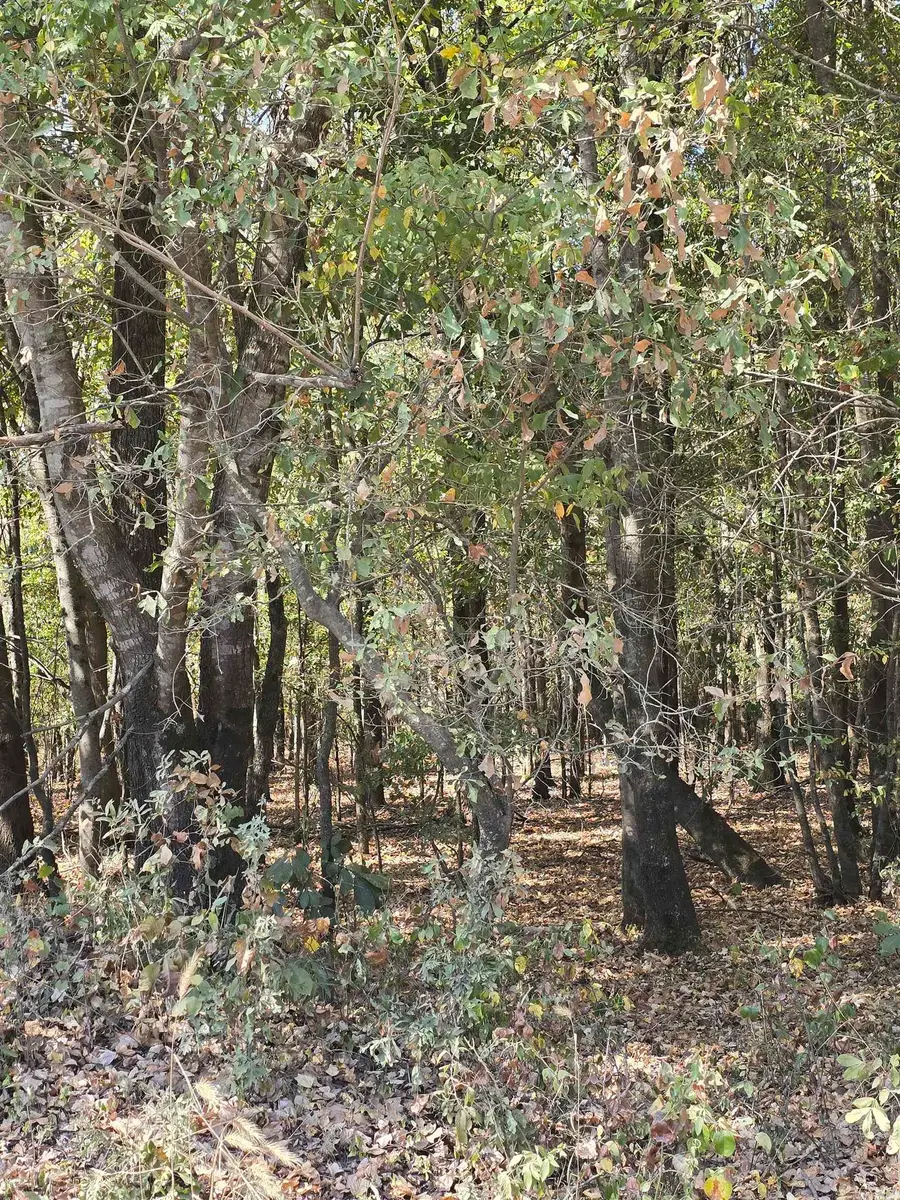 TBD Tucker Road, Searcy, AR 72143 - #2