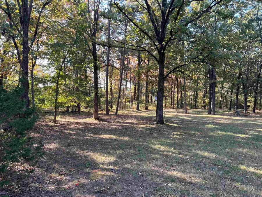 25 S Harrison Avenue, Heber Springs, AR 72543 - #2