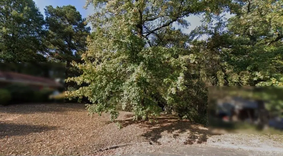 Lot 13 Pine Hill Street, De Queen, AR 71832 - #1