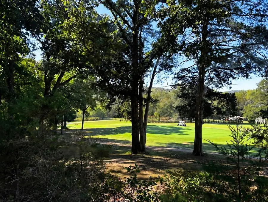 54 F Cherokee Road, Cherokee Village, AR 72529 - #2
