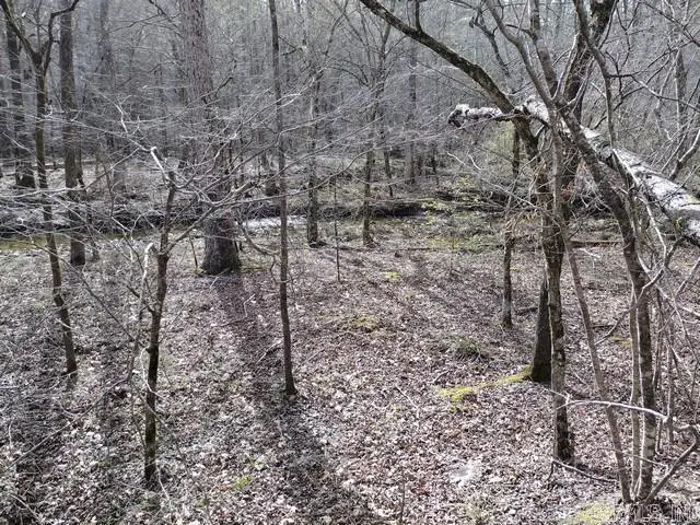 43 Mano Way, Hot Springs Village, AR 71909 - #3