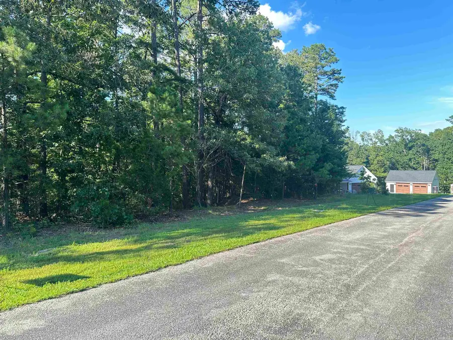 173 Green Creek Trail, Shirley, AR 72153 - #3