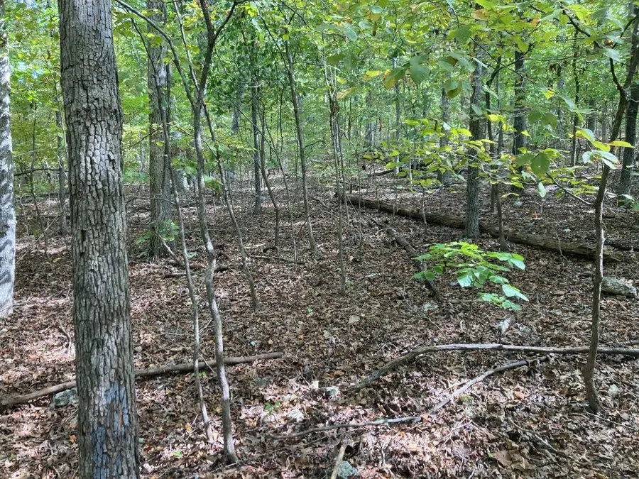 Woodland Hills Road, Hardy, AR 72542 - #2