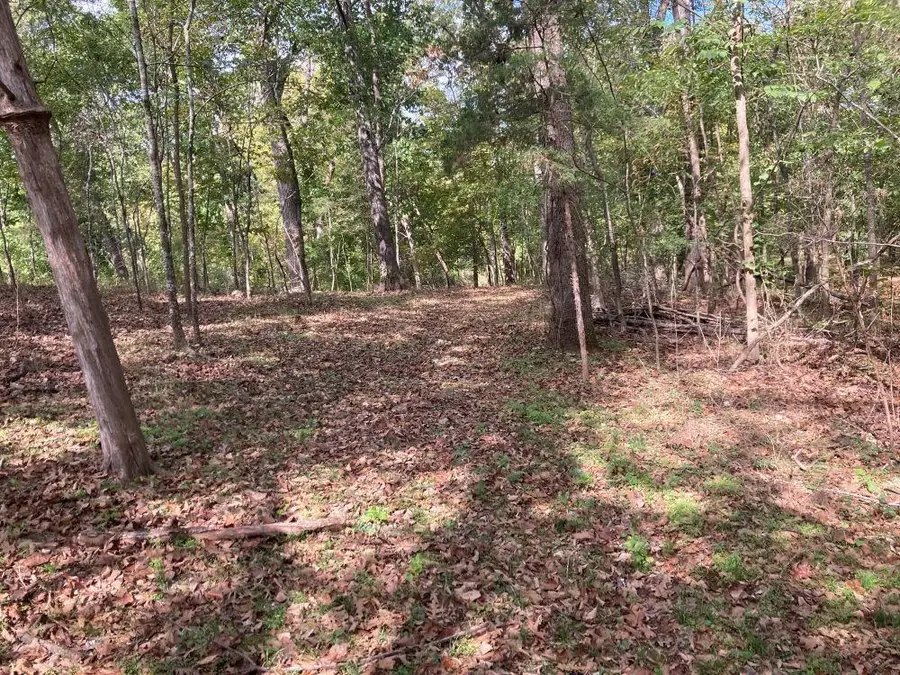 Powhatan Drive, Cherokee Village, AR 72529 - #3