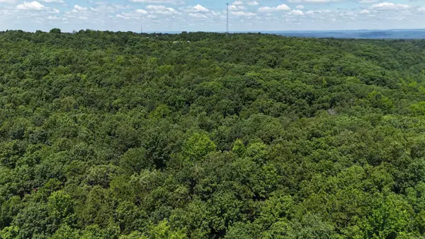 0 E Mountain Roads, Beech Grove, AR 72013