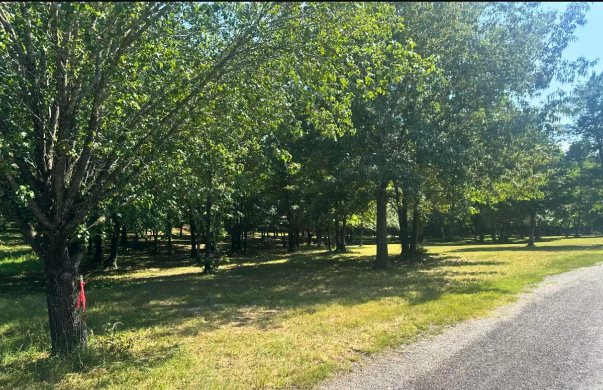 Lot 21 Ember Rd, Shirley, AR 72088 - #1