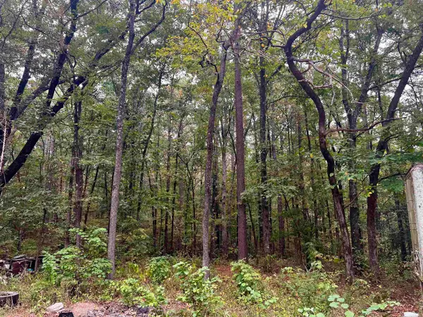 220 Grant County Road 52, Sheridan, AR 72150