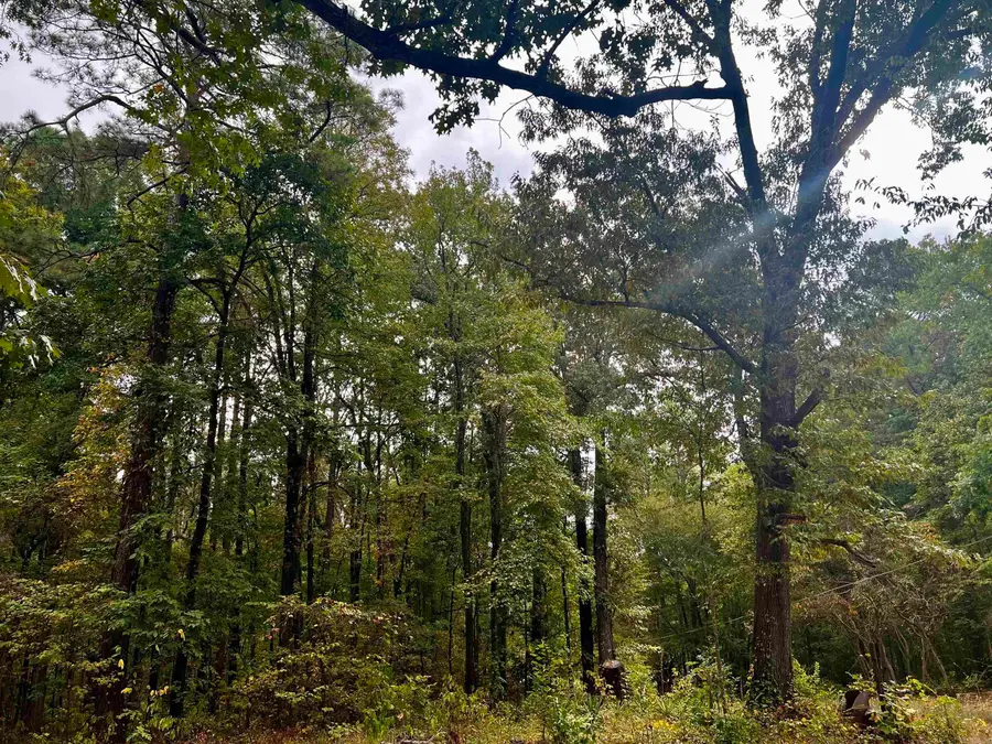 220 Grant County Road 52, Sheridan, AR 72150 - #3