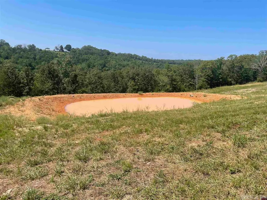 1095 Cr 19, Mountain Home, AR 72653 - #3