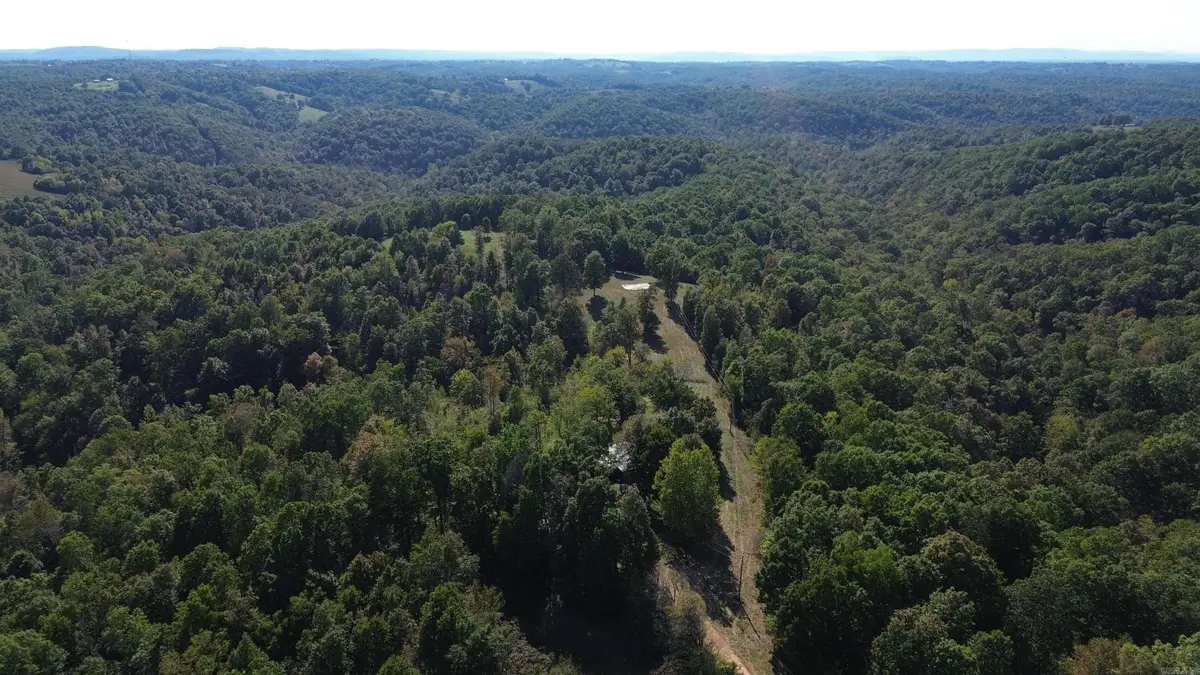 307 Bammy Drive, Harriet, AR 72639 - #1