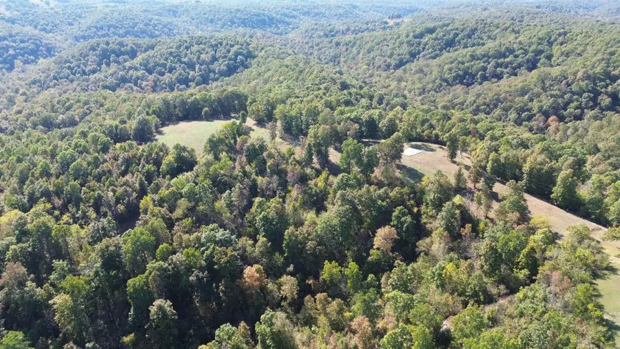307 Bammy Drive, Harriet, AR 72639 - #3