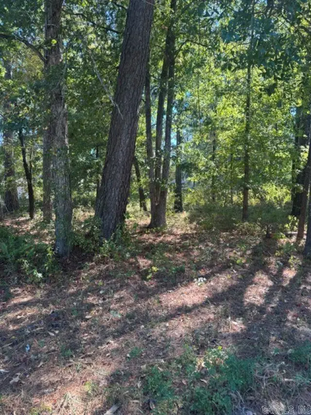00 Glenwood Drive, Monticello, AR 71655 - #1