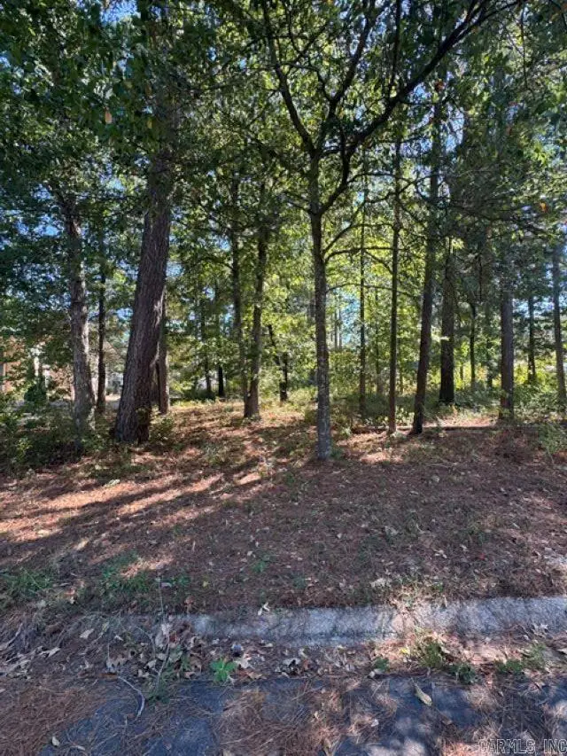 00 Glenwood Drive, Monticello, AR 71655 - #2