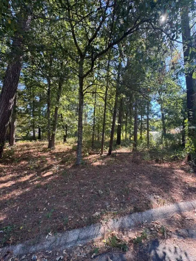 00 Glenwood Drive, Monticello, AR 71655 - #3