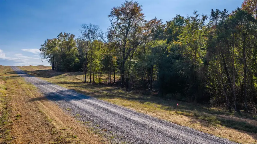 Lot 12 Summer Field, Quitman, AR 72131 - #3