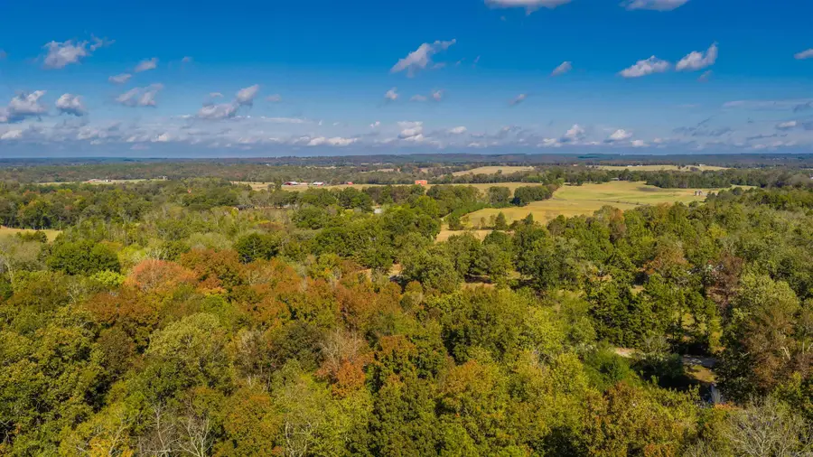 Lot 25C Reynolds Run, Quitman, AR 72131 - #3