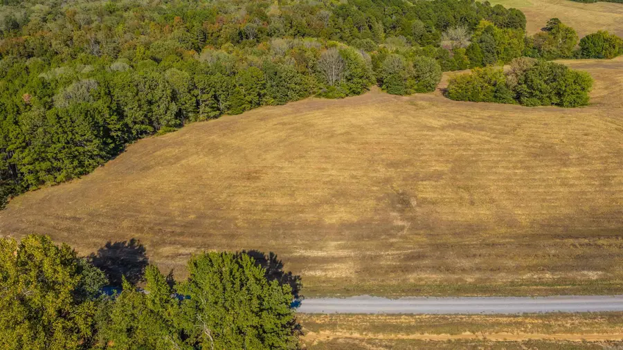Lot 27 Reynolds Run, Quitman, AR 72131 - #3