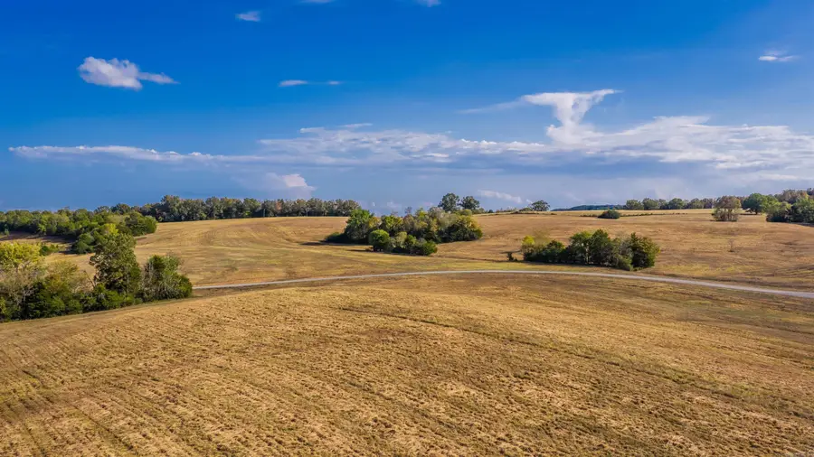 Lot 29 Reynolds Run, Quitman, AR 72131 - #2