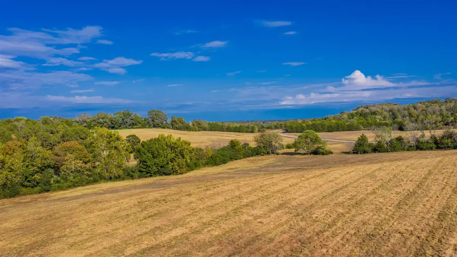 Lot 29 Reynolds Run, Quitman, AR 72131 - #3
