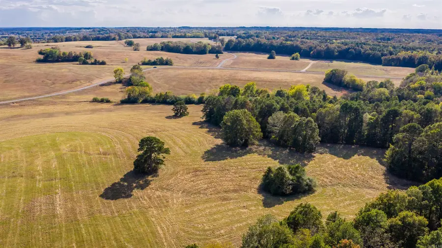 Lot 30 Reynolds Run, Quitman, AR 72131 - #2