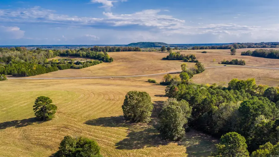 Lot 30 Reynolds Run, Quitman, AR 72131 - #3