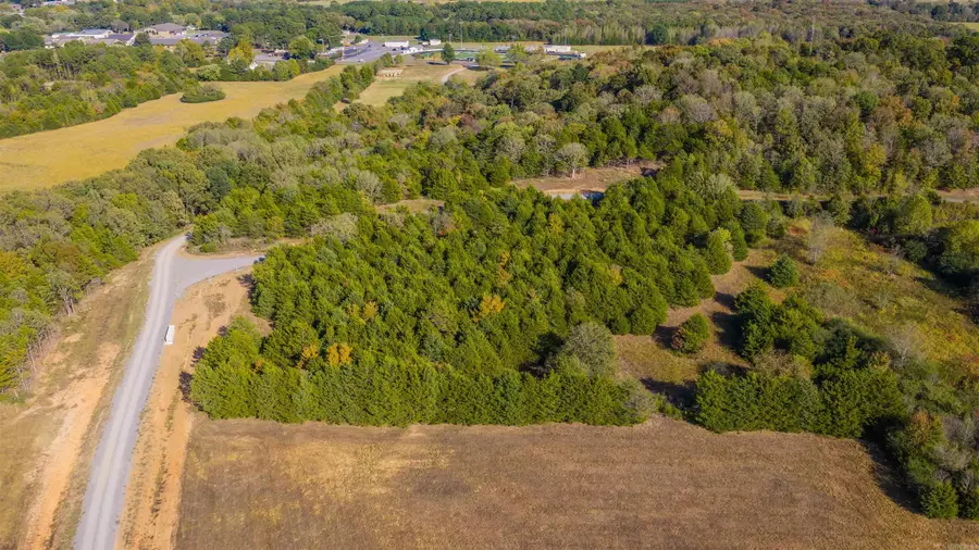 Lot 33 Summer Point, Quitman, AR 72131 - #3