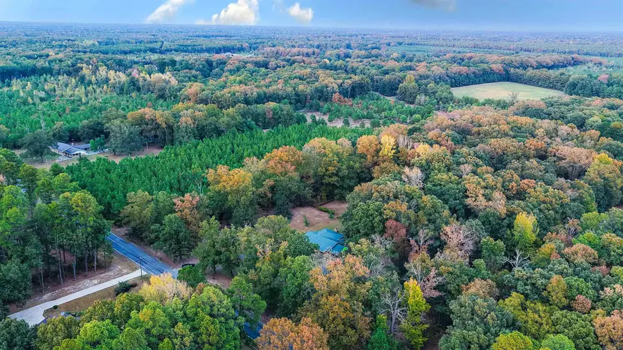 6738 Sorrells Road, Pine Bluff, AR 71603 - #2