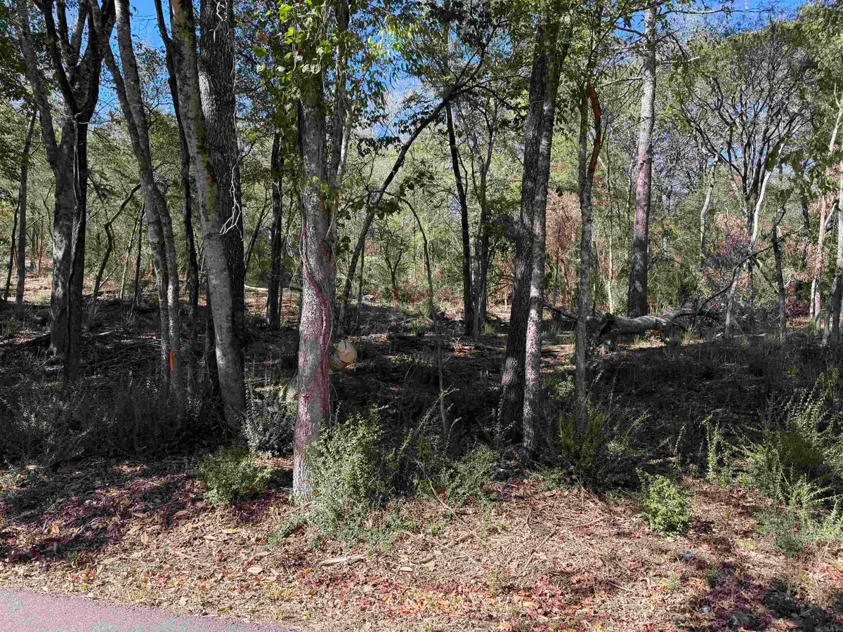 00 Cozy Acres, Mountain Pine, AR 71956 - #1