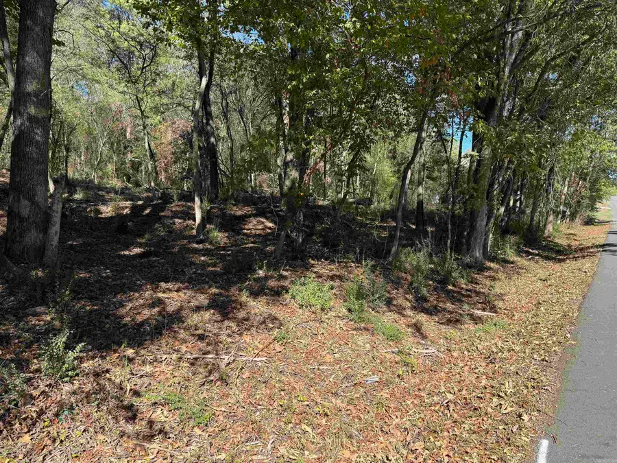 00 Cozy Acres, Mountain Pine, AR 71956 - #3