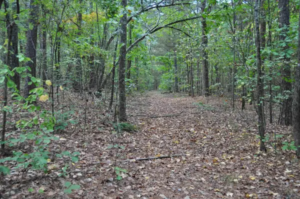000 Skip Lane, Bee Branch, AR 72013