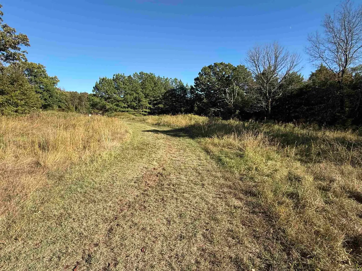 1380 Five Mile Loop, Drasco, AR 72530 - #1