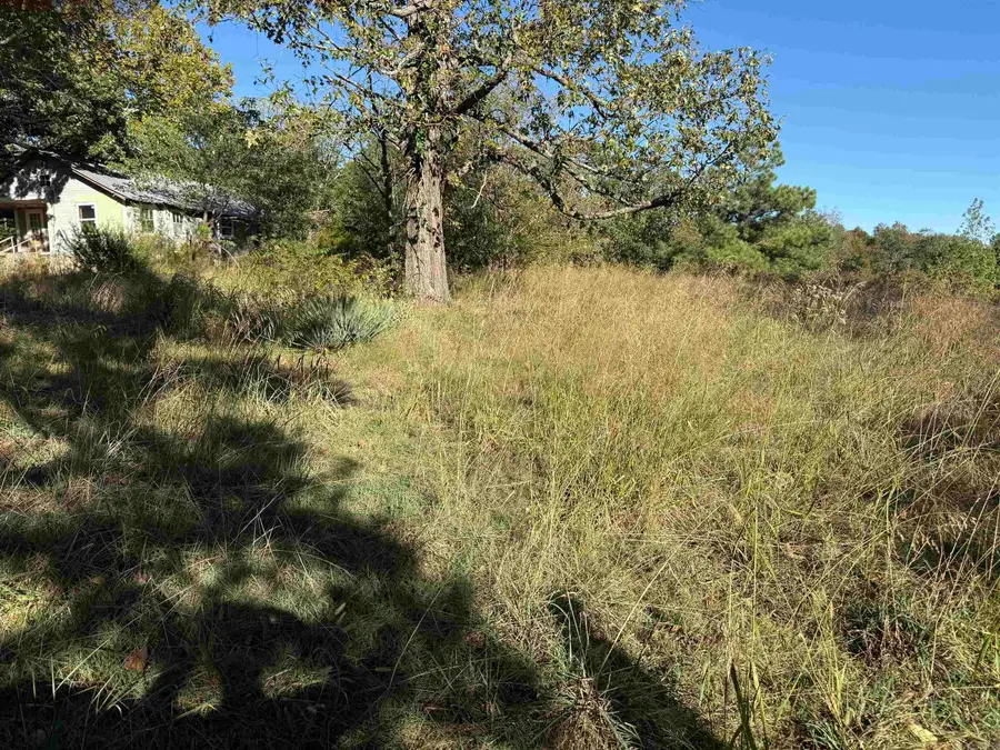 1380 Five Mile Loop, Drasco, AR 72530 - #3