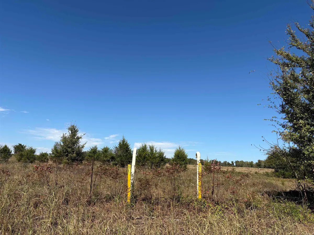 340 Hwy 124 W., Greenbrier, AR 72058 - #1