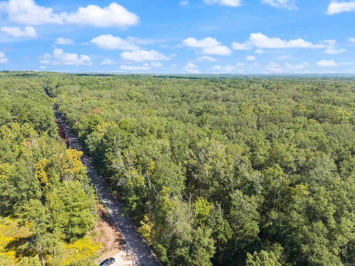 40 Acres Heinke Road, Mabelvale, AR 72103 - #1