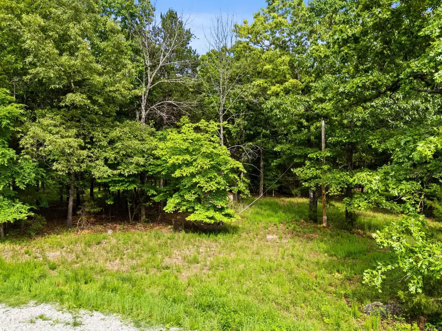 Lots 29 & 30 Sycamore Springs Circle, Mountain Home, AR 72653 - #2