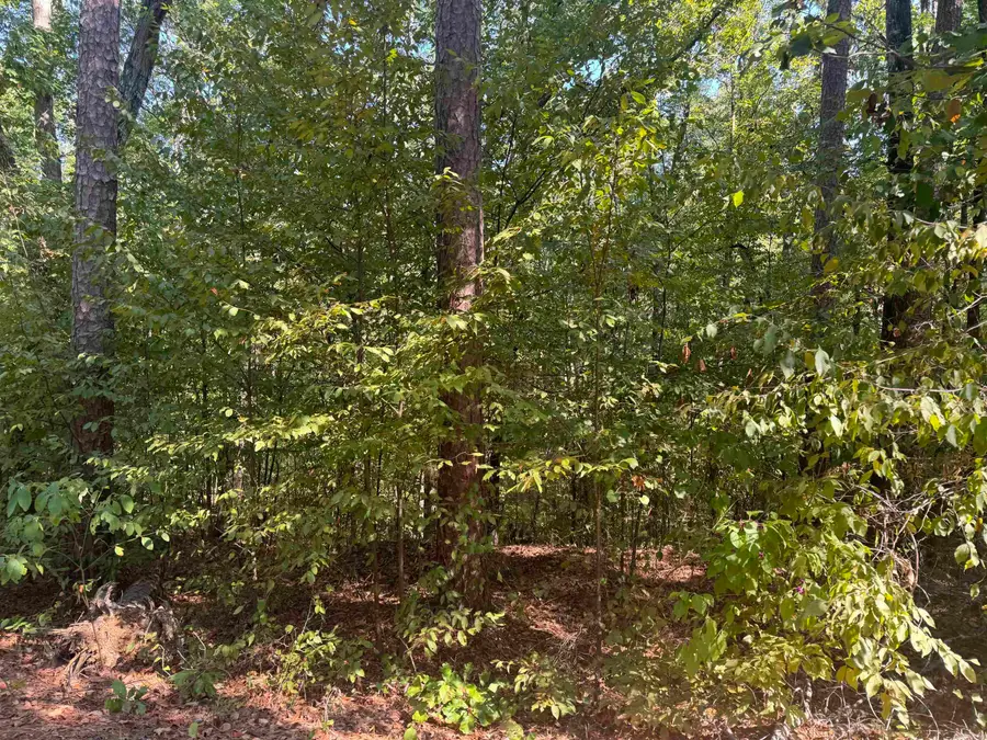 0000 Prysock Road, Benton, AR 72015 - #2