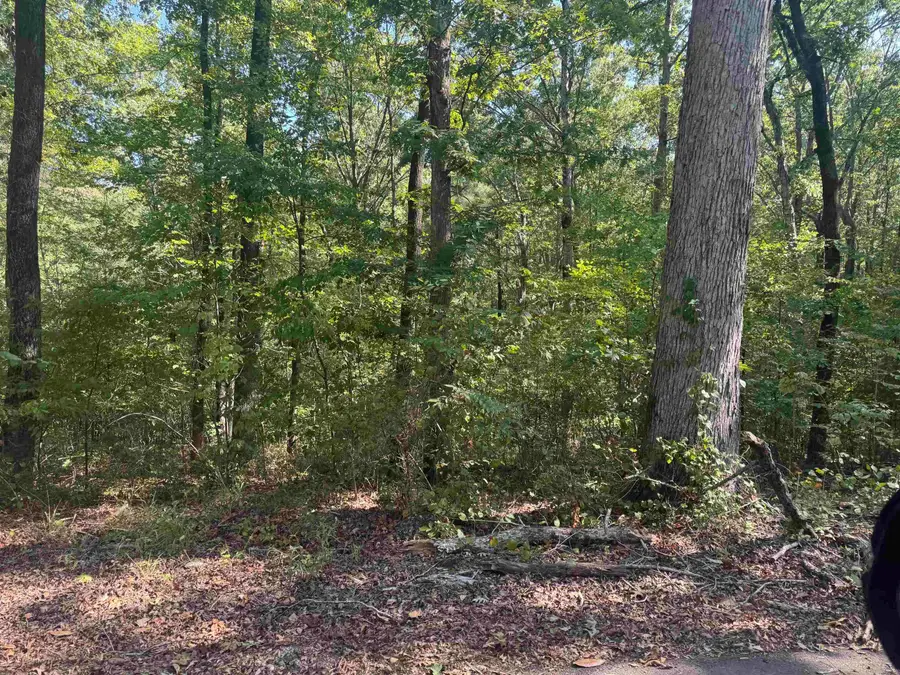 0000 Prysock Road, Benton, AR 72015 - #3