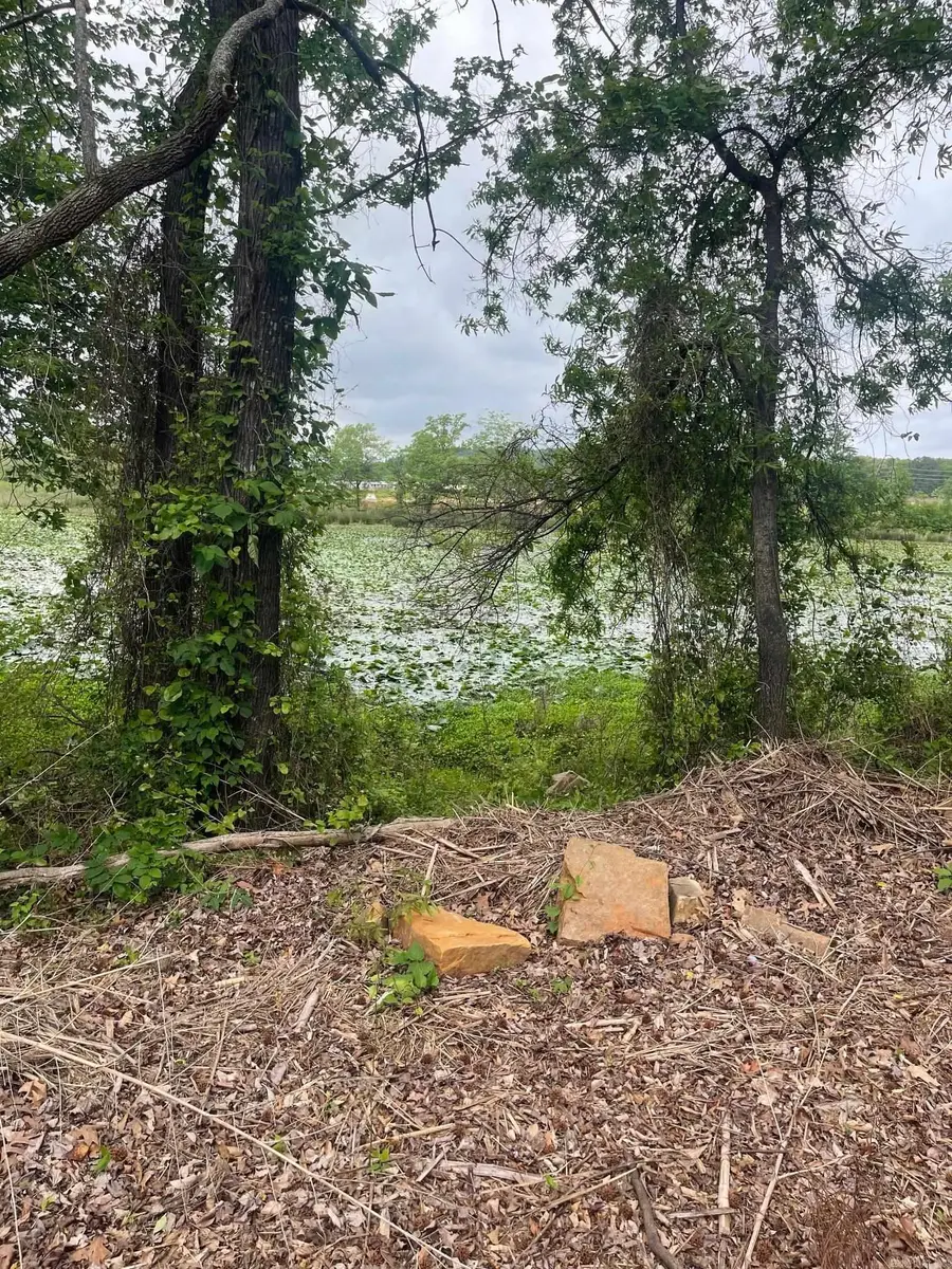 30 Dam Road, Mayflower, AR 72106 - #3