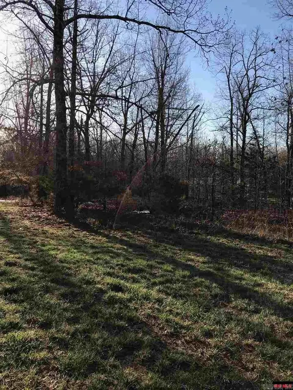 242 Tuscon Lane, Viola, AR 72583
