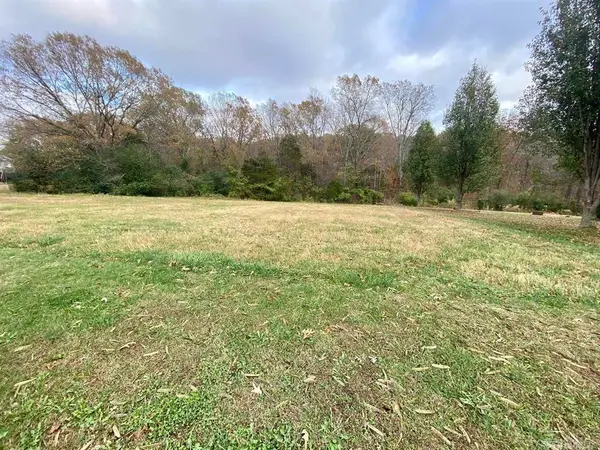 000 Vista Drive, Mountain View, AR 72560