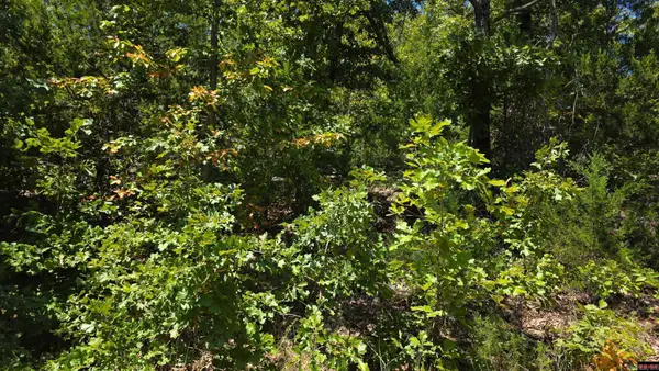 00 Hillcrest, Bull Shoals, AR 72619