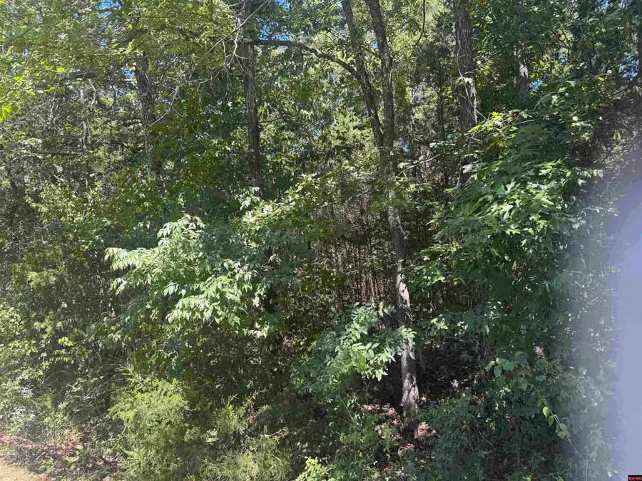 00 Lynnette, Bull Shoals, AR 72619 - #2