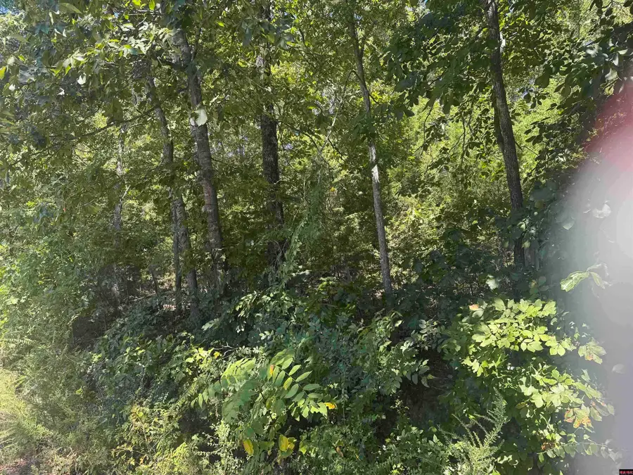 00 Lynnette, Bull Shoals, AR 72619 - #3