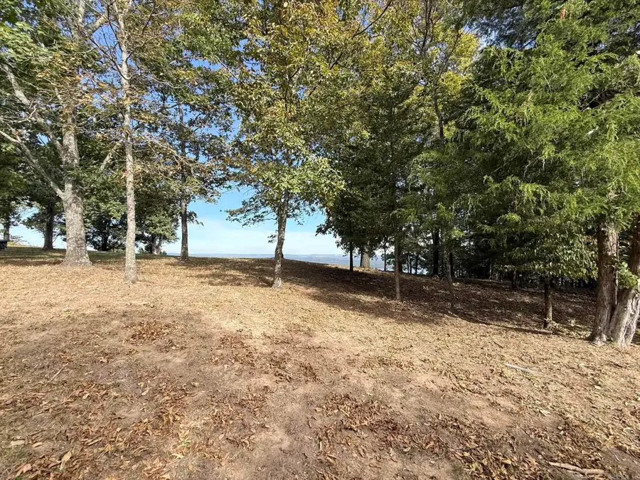 2545 Diamond Bluff Rd., Quitman, AR 72131 - #3