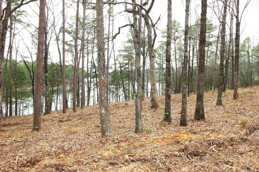 Lot 3 Vida Del Lago Subdivision, Greers Ferry, AR 72067 - #3