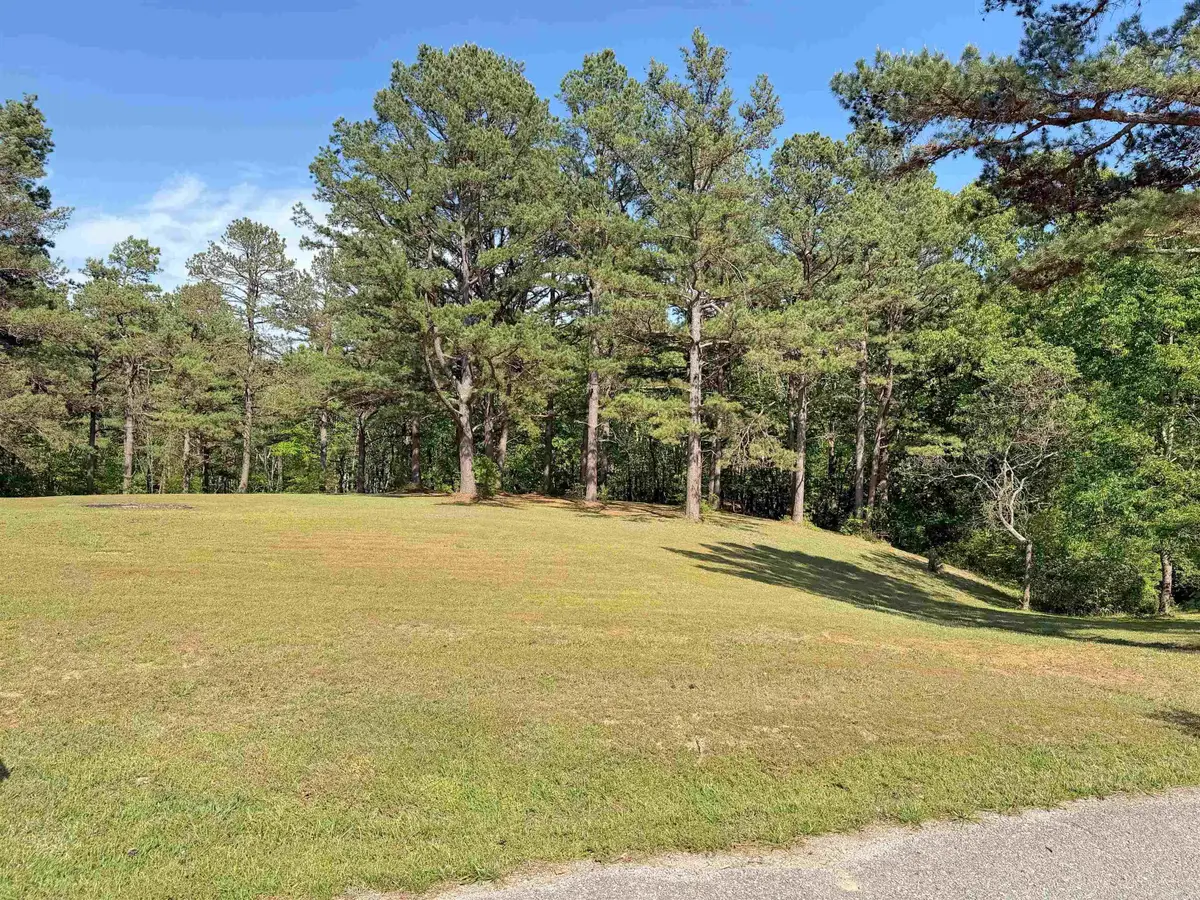 Lot 27 & 28 Tournament Dr., Mountain View, AR 72560 - #1
