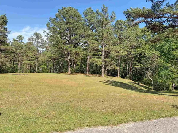 Lot 27 & 28 Tournament Dr., Mountain View, AR 72560